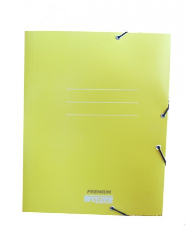 CARPETA CON ELASTICO CARTÓN PREMIUM 309 